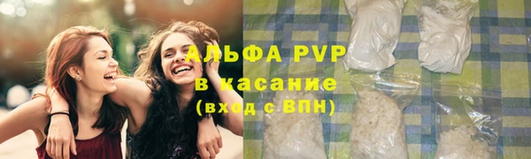 гидра Арсеньев