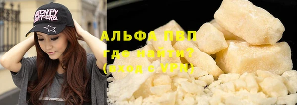 гидра Арсеньев