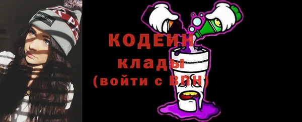 гидра Арсеньев