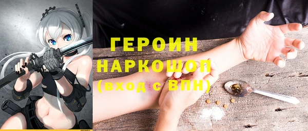 гидра Арсеньев