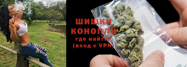 гидра Арсеньев